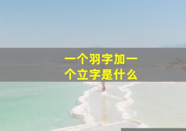 一个羽字加一个立字是什么