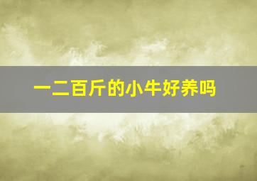 一二百斤的小牛好养吗