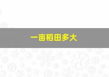 一亩稻田多大