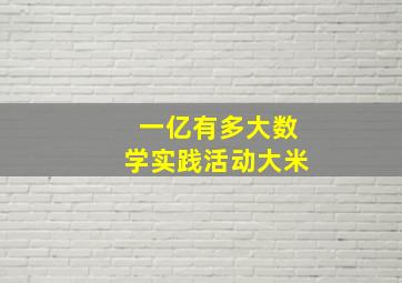 一亿有多大数学实践活动大米