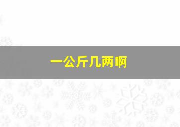 一公斤几两啊