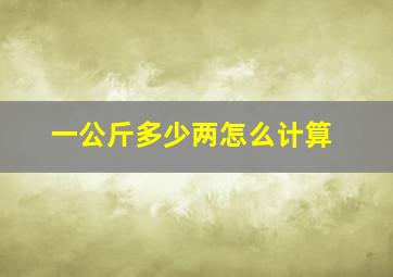 一公斤多少两怎么计算