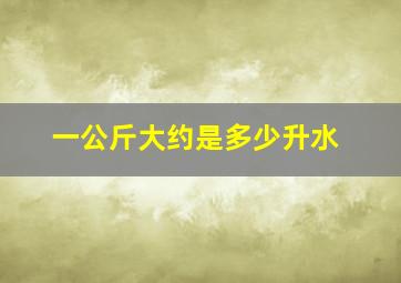 一公斤大约是多少升水