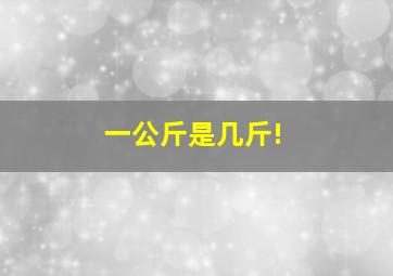 一公斤是几斤!