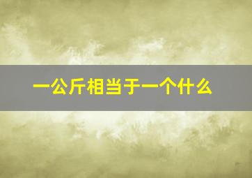 一公斤相当于一个什么