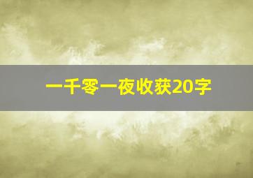 一千零一夜收获20字