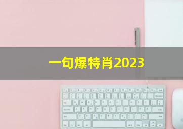 一句爆特肖2023