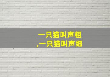 一只猫叫声粗,一只猫叫声细