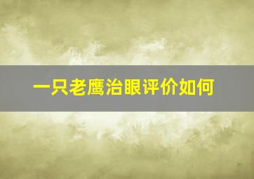 一只老鹰治眼评价如何