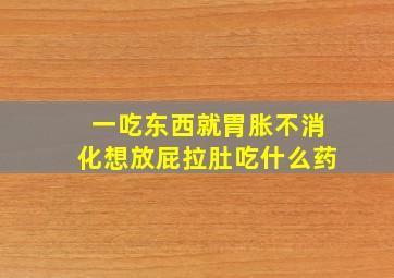 一吃东西就胃胀不消化想放屁拉肚吃什么药