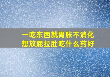 一吃东西就胃胀不消化想放屁拉肚吃什么药好