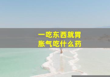 一吃东西就胃胀气吃什么药