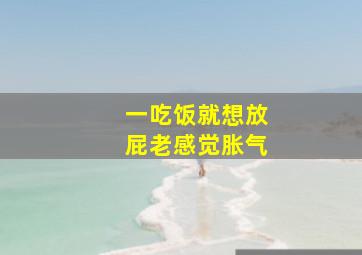 一吃饭就想放屁老感觉胀气