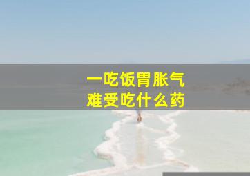 一吃饭胃胀气难受吃什么药