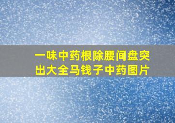 一味中药根除腰间盘突出大全马钱子中药图片