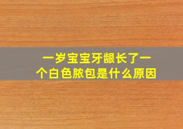 一岁宝宝牙龈长了一个白色脓包是什么原因