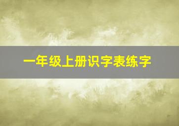 一年级上册识字表练字