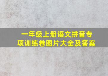 一年级上册语文拼音专项训练卷图片大全及答案