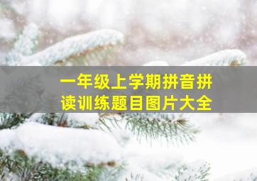 一年级上学期拼音拼读训练题目图片大全