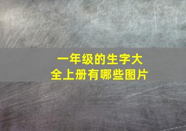 一年级的生字大全上册有哪些图片