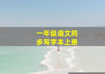 一年级语文同步写字本上册