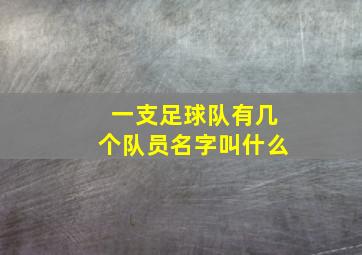 一支足球队有几个队员名字叫什么