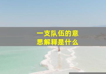 一支队伍的意思解释是什么