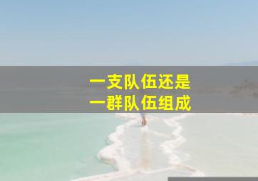 一支队伍还是一群队伍组成