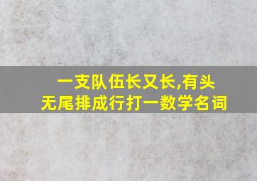 一支队伍长又长,有头无尾排成行打一数学名词