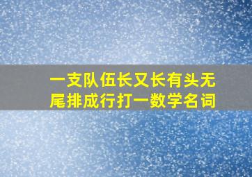 一支队伍长又长有头无尾排成行打一数学名词