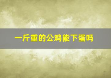 一斤重的公鸡能下蛋吗