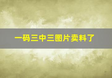 一码三中三图片卖料了