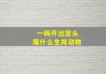 一码开出定头尾什么生肖动物