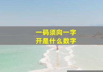 一码须向一字开是什么数字