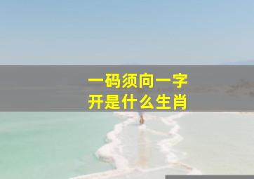 一码须向一字开是什么生肖