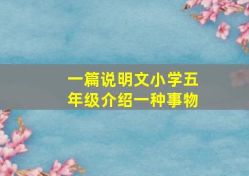 一篇说明文小学五年级介绍一种事物