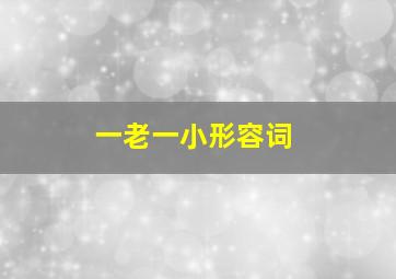 一老一小形容词