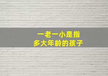 一老一小是指多大年龄的孩子