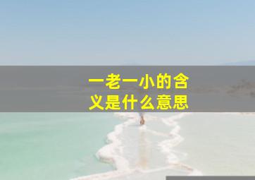 一老一小的含义是什么意思