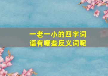 一老一小的四字词语有哪些反义词呢