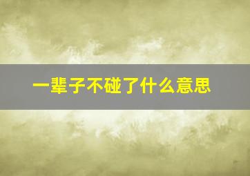 一辈子不碰了什么意思