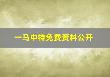 一马中特免费资料公开