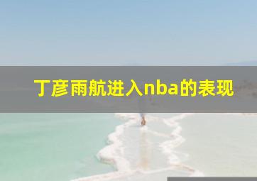 丁彦雨航进入nba的表现