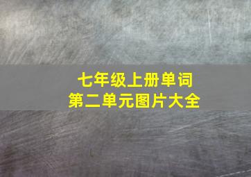 七年级上册单词第二单元图片大全