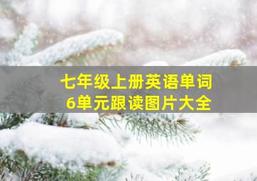 七年级上册英语单词6单元跟读图片大全