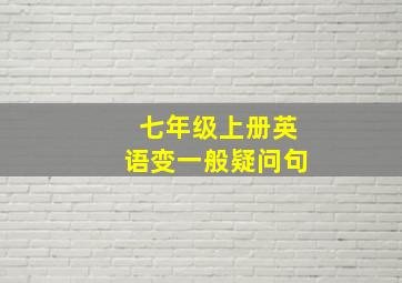 七年级上册英语变一般疑问句