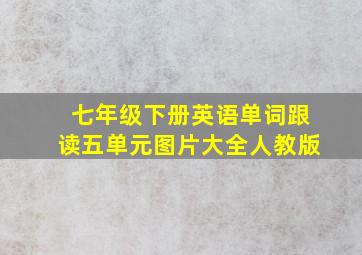 七年级下册英语单词跟读五单元图片大全人教版