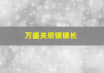 万盛关坝镇镇长