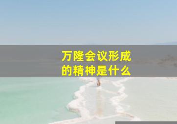 万隆会议形成的精神是什么