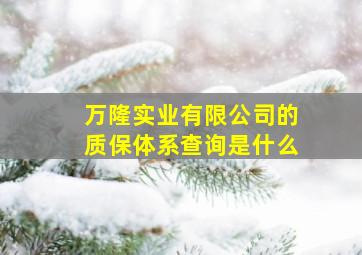 万隆实业有限公司的质保体系查询是什么